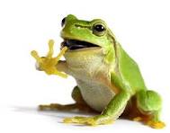 Blogs For Frogs header image.